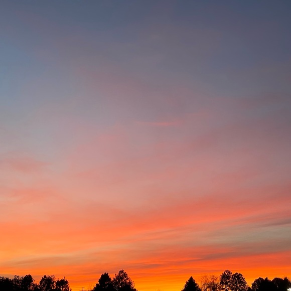 Meet your Posher, Amber - Picture 2 of 2